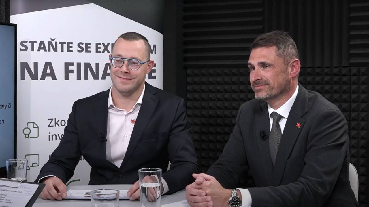 Pojištění finančních rizik (firmy)